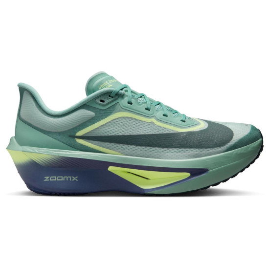 Nike Zoom Fly 6
